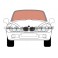 BMW Z3 VINDRUTA